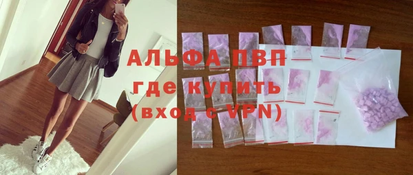 СК Медвежьегорск