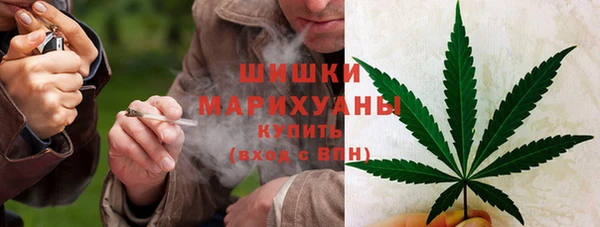 СК Медвежьегорск