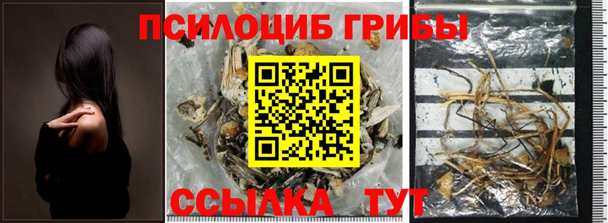 Галлюциногенные грибы ЛСД  Вход с VPN  Норильск 