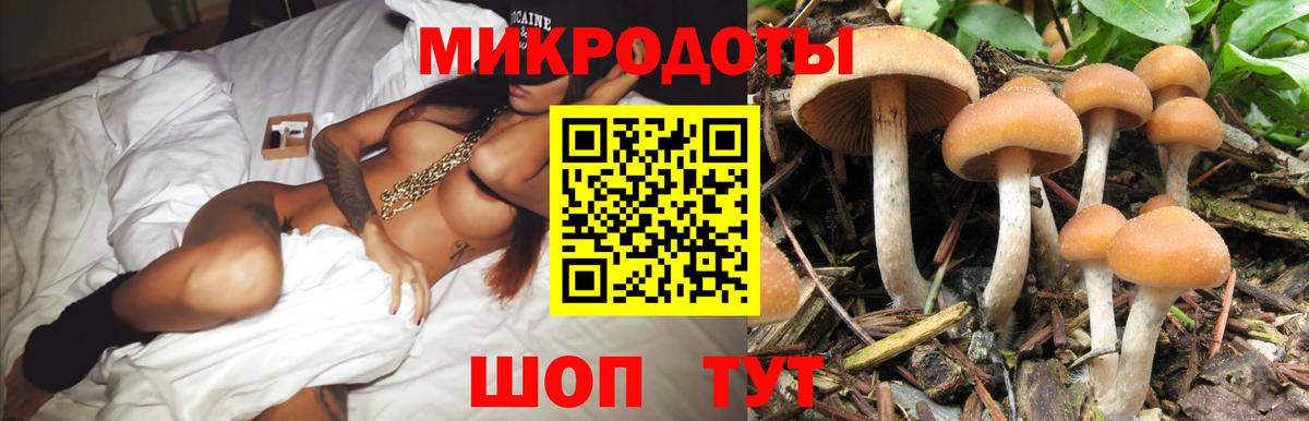 Псилоцибиновые грибы GOLDEN TEACHER Норильск